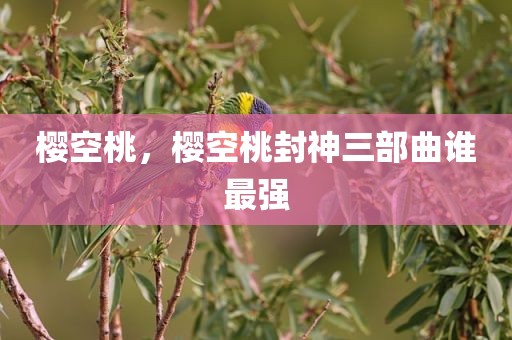 樱空桃，樱空桃封神三部曲谁最强