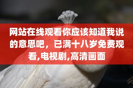 网站在线观看你应该知道我说的意思吧，已满十八岁免费观看,电视剧,高清画面