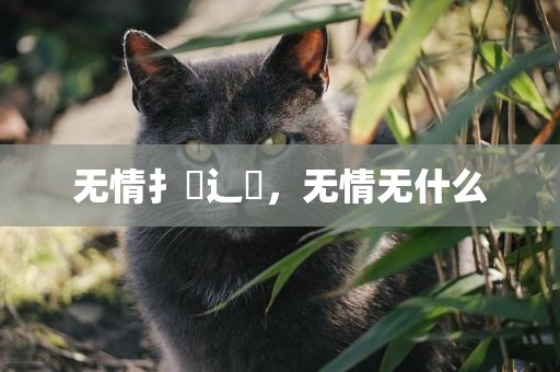 无情扌臿辶畐，无情无什么