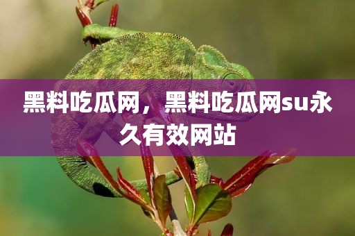 黑料吃瓜网，黑料吃瓜网su永久有效网站