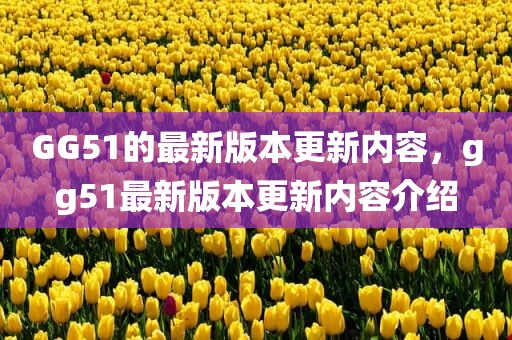 GG51的最新版本更新内容，gg51最新版本更新内容介绍
