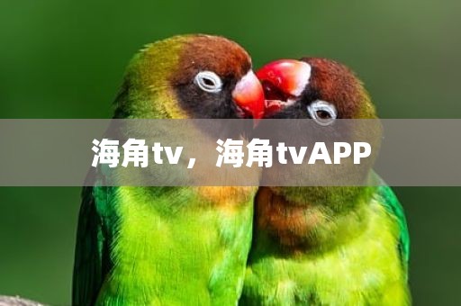海角tv，海角tvAPP