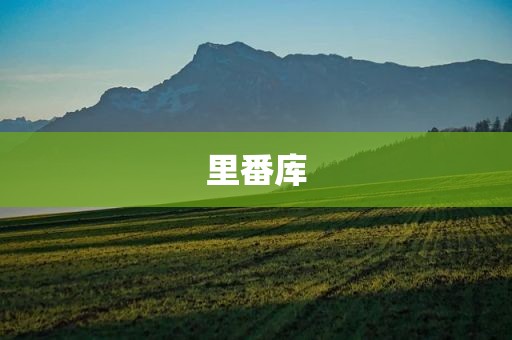 里番库