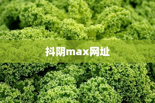 抖阴max网址