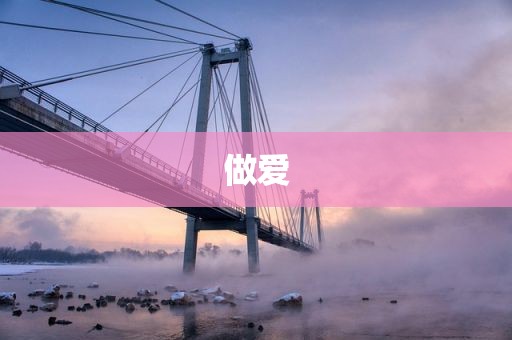 做爱