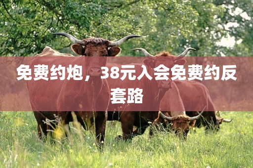 免费约炮，38元入会免费约反套路