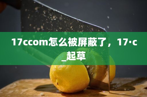 17ccom怎么被屏蔽了，17·c_起草