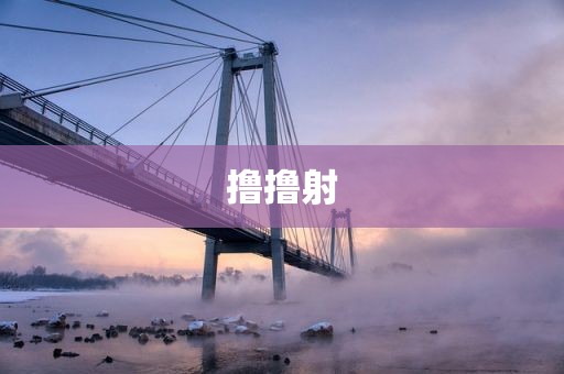 撸撸射
