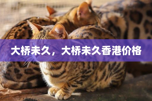 大桥未久，大桥未久香港价格