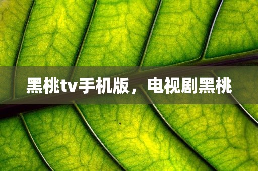 黑桃tv手机版，电视剧黑桃