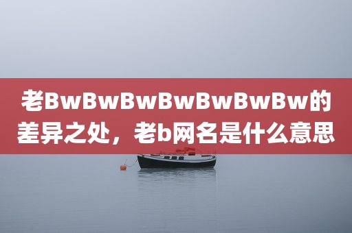 老BwBwBwBwBwBwBw的差异之处，老b网名是什么意思