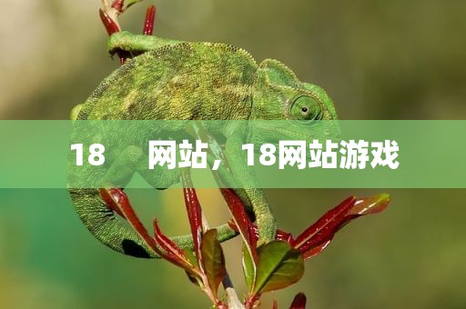18     网站，18网站游戏