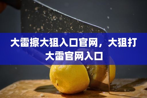 大雷擦大狙入口官网，大狙打大雷官网入口