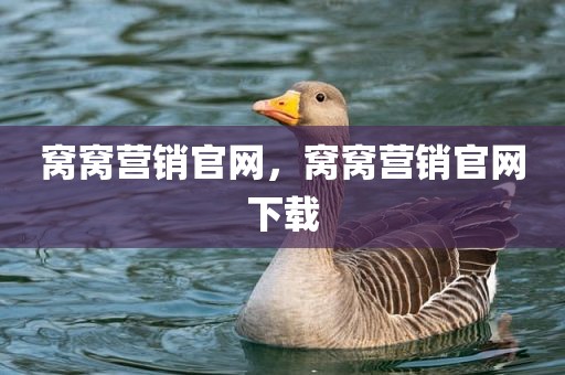 窝窝营销官网，窝窝营销官网下载