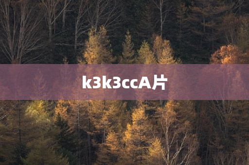 k3k3ccA片