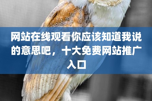 网站在线观看你应该知道我说的意思吧，十大免费网站推广入口