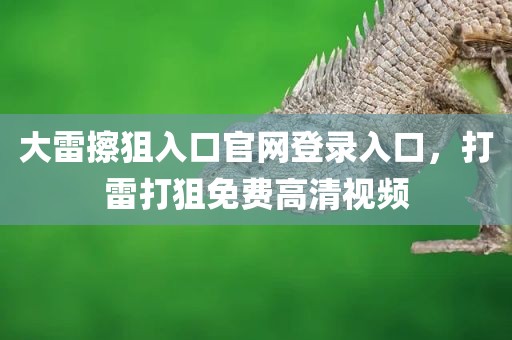 大雷擦狙入口官网登录入口，打雷打狙免费高清视频