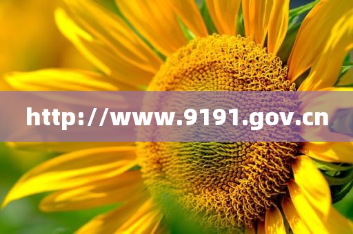 http://www.9191.gov.cn