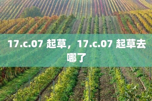 17.c.07 起草，17.c.07 起草去哪了