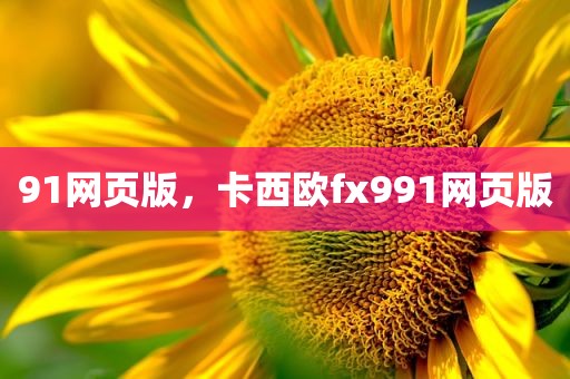 91网页版，卡西欧fx991网页版