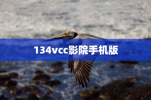 134vcc影院手机版