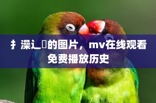 扌澡辶畐的图片，mv在线观看免费播放历史