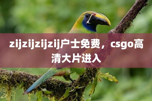 zijzijzijzij户士免费，csgo高清大片进入