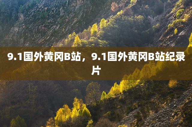 9.1国外黄冈B站，9.1国外黄冈B站纪录片