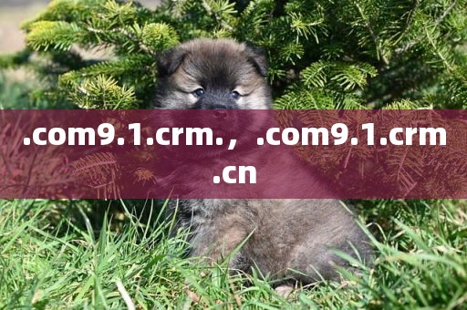 .com9.1.crm.，.com9.1.crm.cn