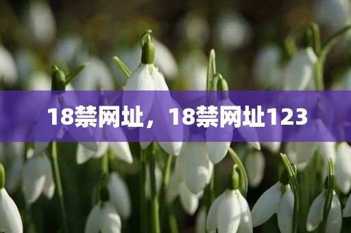 18禁网址，18禁网址123