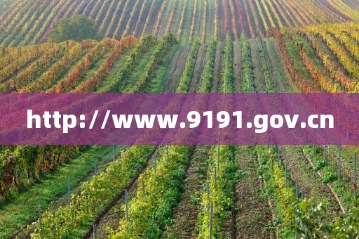 http://www.9191.gov.cn