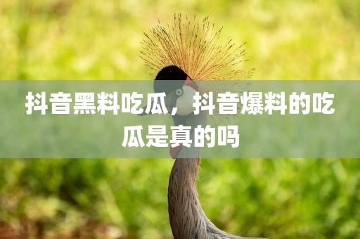 抖音黑料吃瓜，抖音爆料的吃瓜是真的吗