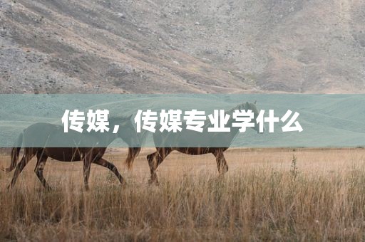 传媒，传媒专业学什么