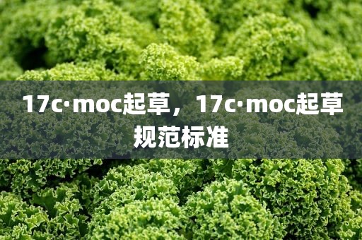 17c·moc起草，17c·moc起草规范标准