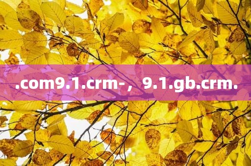 .com9.1.crm-，9.1.gb.crm.