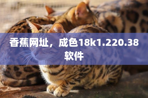 香蕉网址，成色18k1.220.38软件