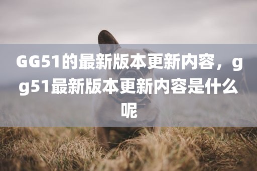 GG51的最新版本更新内容，gg51最新版本更新内容是什么呢