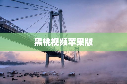 黑桃视频苹果版