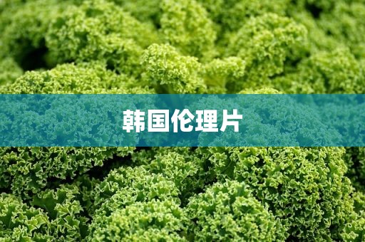 韩国伦理片
