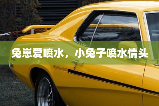 兔崽爱喷水，小兔子喷水情头