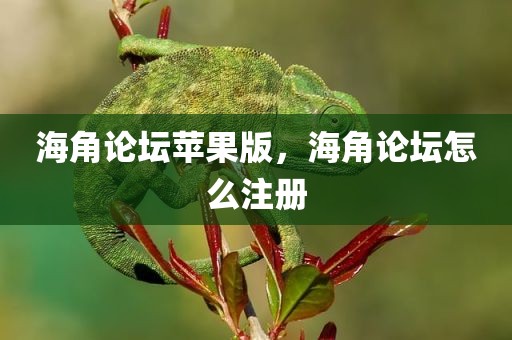 海角论坛苹果版，海角论坛怎么注册