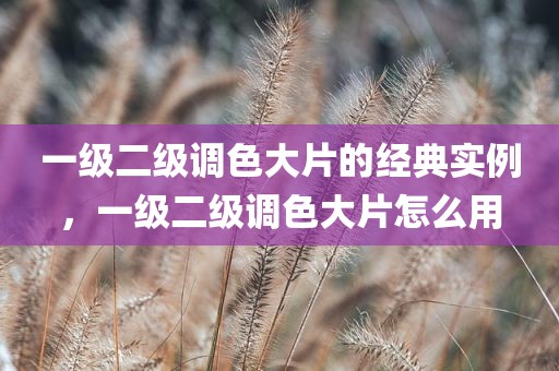 一级二级调色大片的经典实例，一级二级调色大片怎么用