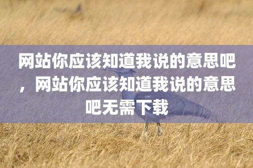 网站你应该知道我说的意思吧，网站你应该知道我说的意思吧无需下载
