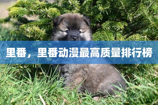 里番，里番动漫最高质量排行榜