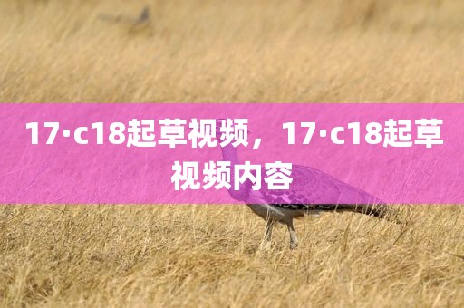 17·c18起草视频，17·c18起草视频内容
