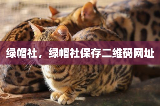 绿帽社，绿帽社保存二维码网址
