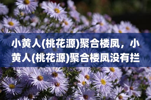 小黄人(桃花源)聚合楼凤，小黄人(桃花源)聚合楼凤没有拦
