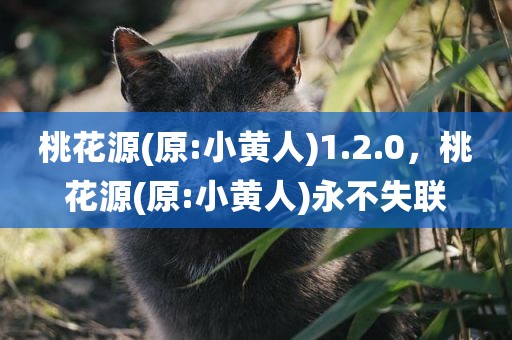 桃花源(原:小黄人)1.2.0，桃花源(原:小黄人)永不失联