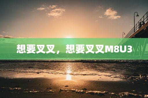 想要叉叉，想要叉叉M8U3