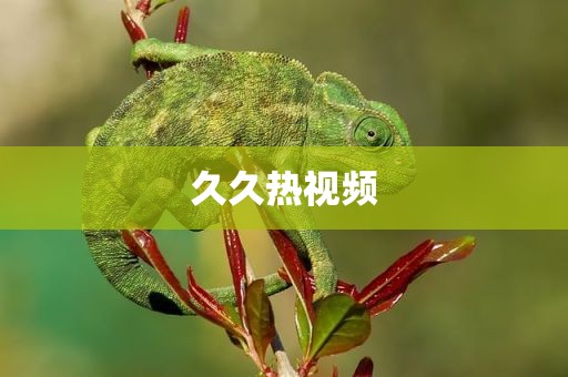 久久热视频